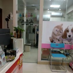 洪星1998寵物店詳細(xì)信息 電話、地址、價(jià)格、營業(yè)時(shí)間及圖片