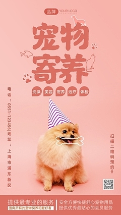 寵物攝影 為愛寵留住美好瞬間的專業(yè)服務