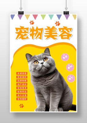 專業(yè)寵物服務 寵愛無限——限時促銷火熱開啟